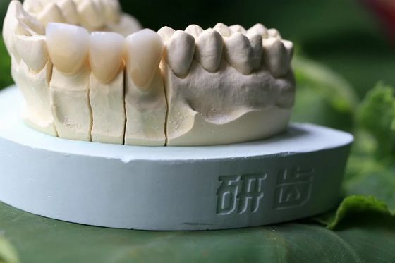 Dentes do zirconita da porcelana