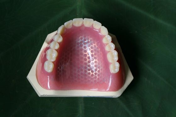 Acrílico superior da dentadura ISO13485 convencional parcial