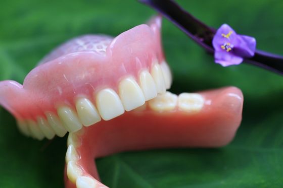 Dentadura completa acrílica removível curada quente do arco completo
