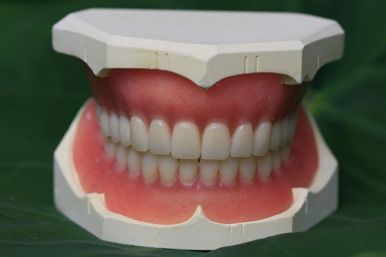 Dentadura parcial acrílica imediata da dentadura ISO13485