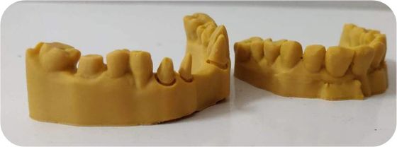 Modelo dental composto da cópia 3D da resina fotossensível do CAD CAM