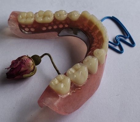 Dentadura parcial acrílica do Esthetics permanente completo da dentadura