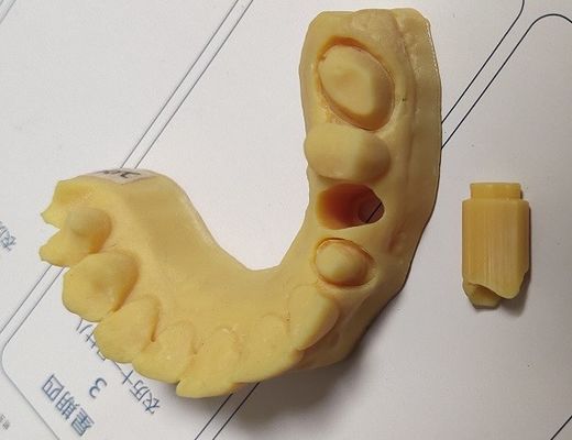 Modelo dental da cópia 3D da elevada precisão ISO13485 Trushine