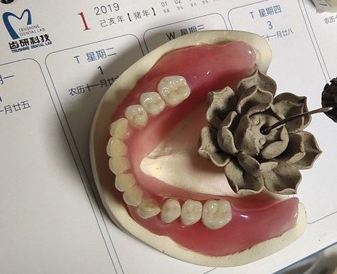 BPS confortáveis estáveis da dentadura parcial acrílica da dentadura