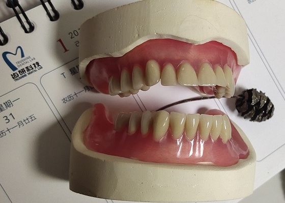 Dentadura parcial acrílica imediata da dentadura ISO13485