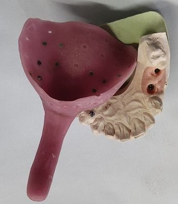 Bandejas feitas sob encomenda da impressão da dentadura