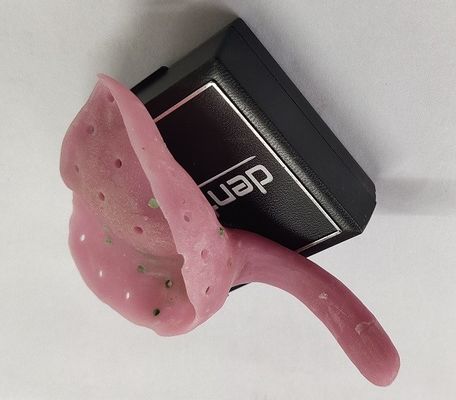 Bandejas feitas sob encomenda de Trushine Premade para dentaduras outros produtos dentais