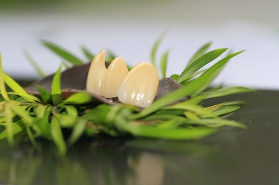 As estrelas completas da coroa 5 do óxido de zircônio da odontologia protética projetam o laboratório dental