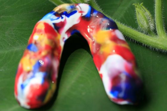 Os dentes dos esportes do Esthetics guardam