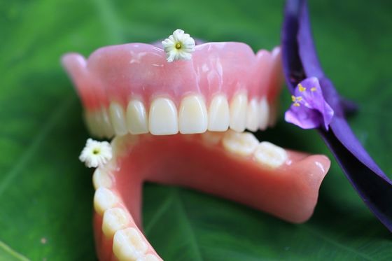 BPS confortáveis estáveis da dentadura parcial acrílica da dentadura
