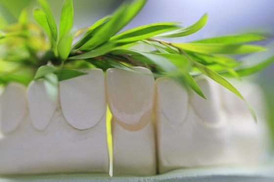 Coroa dental cerâmica do vidro permanente natural para os dentes anteriores